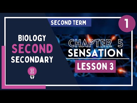 Biology 2nd Secondary Egypt Second Term Chapter 5 Lesson 3 Part 1 3