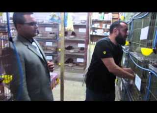  لقاء الحاج محمد خليل و الحمام الصافى 2
