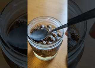 СОСНОВЫЕ ШИШКИ РЕАЛЬНО ПОМОГАЮТ ОТ КАШЛЯ шишкисосоновые сиропизшишек сироп