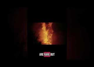 Fire Storm Walking With Dinosaurs Time Of The Titans Walkingwithdinosaurs Dinosaurs Paleomedia