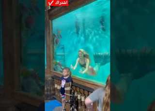 شوف حورية البحر Shorts