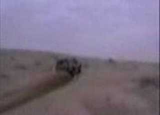  شعر الفتك