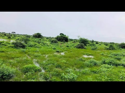 Abwaan Dhoodaan Gabay Dab Iyo Qiiqna Waan Kala Aqaan Saa Duq Baan Ahaye