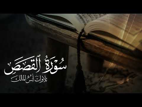 تلاوة سورة القصص للقارئ أنس المالك من ليالي رمضان ١٤٤٤