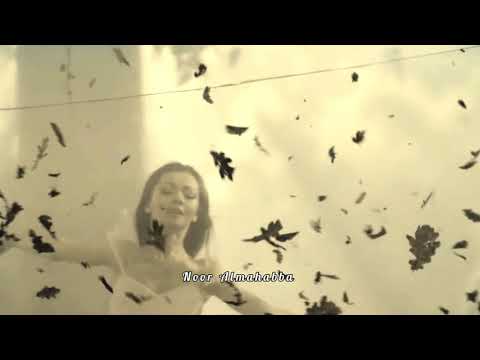 ياماخذ الأيام عبدالكريم عبدالقادر الصوت الجريح عاشقة الصوت الجريح