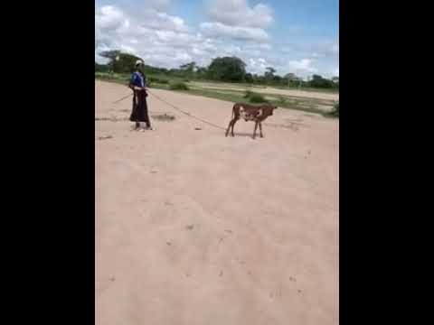 MAYIKUSAI Akiulizana Maswali 27 1 2023