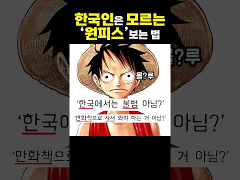 한국인은 모르는 원피스 보는 법
