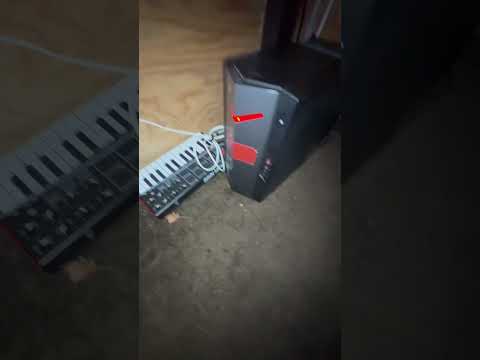 Set Up Gas Homestudio Flstudio Funny Adhd