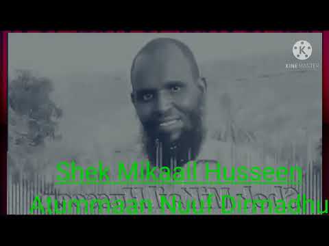 Nashiidaa Bareedduu Shek Mikail Husseen