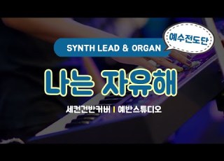 Aux건반커버 L 나는 자유해 L 신스리드 오르간 L 예수전도단
