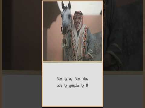 شيله إهداء للشيخ عبدالعزيز خالد الشعلان كلمات الشاعر سلطان خلف الرويلي أداء المنشد خالد الدهيري