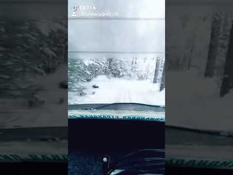 Вероника катастрофа