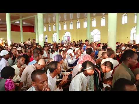 Dha Gey Fadhaa Dhamsaa Sheikh Ahmed Tofiq