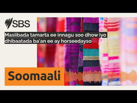 Masiibada Tamarta Ee Innagu Soo Dhow Iyo Dhibaatada Ba An Ee Ay Horseedayso SBS Somali SBS
