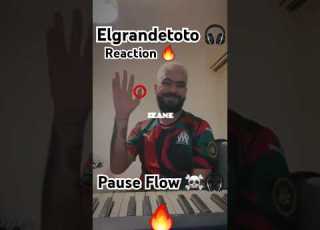 Pause Flow Reaction Elgrandetoto Rap Elgrandetoto Reaction Pause Flow