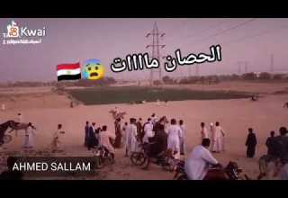 ليلة السلطان عبدالجليل بالنمسا وفات الحصان أثناء المرماح