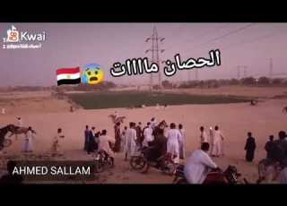 ليلة السلطان عبدالجليل بالنمسا وفات الحصان أثناء المرماح