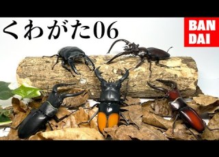 Too Awesome The Latest Stag Beetle Capsule Toy Is Too Awesome BANDAI Living Creatures Encyc
