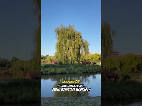 Suasana Kampus BIT Beijing Institute Of Technology