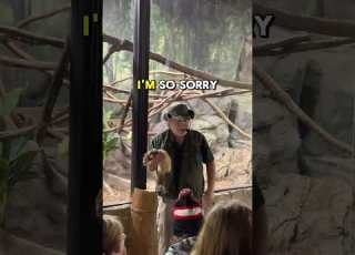  Ferret Peed On The Crowd