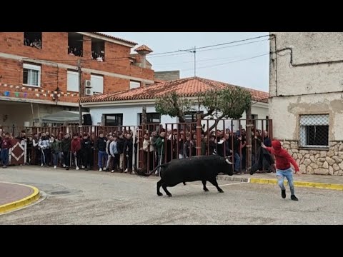 Encierro De Villares 2026