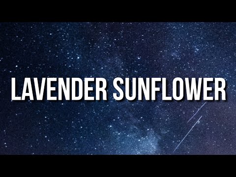 Tory Lanez Lavender Sunflower Lyrics