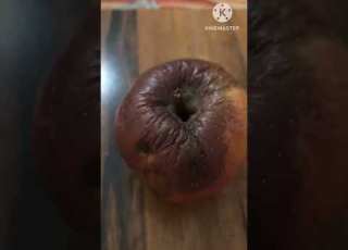  التفاحه الفاسده وصديق السوء صديقك صديق السوء