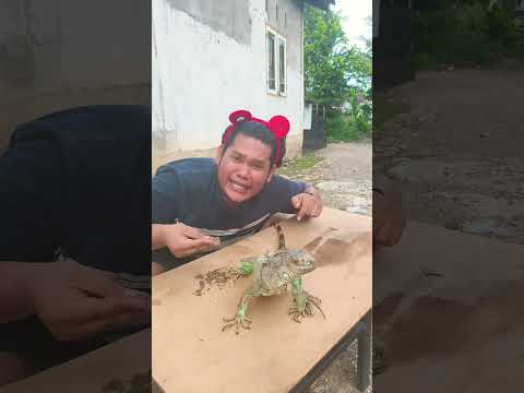 Mama Ya Pupsy Funny Trendingshorts Subscribe Viralshorts Foryoupage Cuteanimals Usa