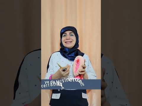 Cinselterapi Kadındoğumuzmanı Cinseleğitim Konya Vajinismusuyenenler Hazzayolculuk Türkiye