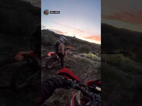 I Promise To Plant 3 Cactus For Every 1 That I Smush Jumpingchollas Cactus Cholla Dirtbikes