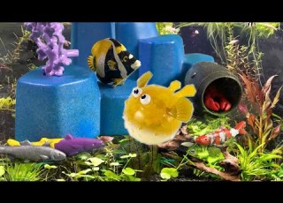  Finding Nemo 2 0 Nemo Meets The Tank Gang Playmobil