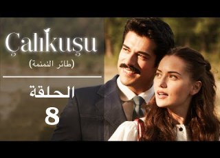  طائر النمنمة الحلقة 8 مترجمة للعربية