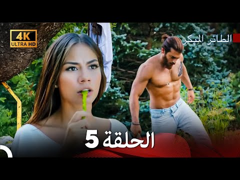 مسلسل الطائر المبكر الحلقة 5 4K Arabic Dubbed مسلسل الطائر المبكر الحلقة 5 4K Arabic Dubbed