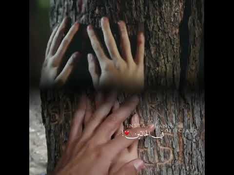 انا هبعد وهحاول انسي اوامتل علي نفسي نسيت في الحالتين انا ضعت خلاص