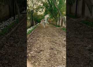 شهر گل زیبا مشهد گل پیاده روی طبیعت پاییز Mashhad Snow Park Lifestyle