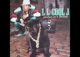 LL Cool J Two Different Worlds