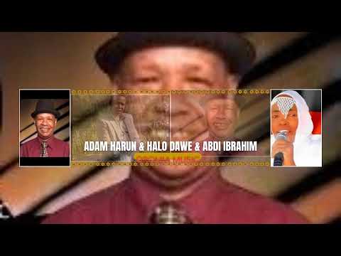 Adam Harun Fi Halo Dawe Jaalala Yaa Goyduu Hila Mala Yaa Gaadituu Harka Miila Jaalala Ya Rarraaftu