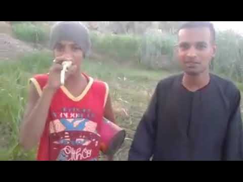 الفنان حماده الصعيدي هتموت علي نفسك من الضحق