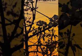 زكريااااات ياليت بيني وبين البعيدين عني شارع كل ماضاقت بي الدنيا ذهبت اليهم اللهم قربهم لقلبي