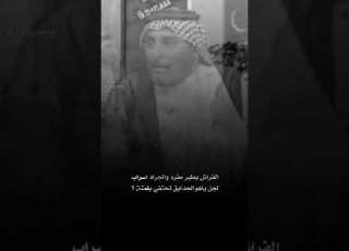  الفراش يطير مفرد