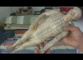 Luo Dong Self Massage