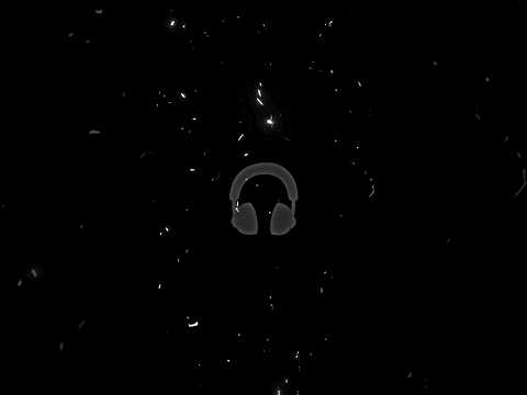 Floyymenor GATA ONLY Ft Cris MJ Lyrics Video Letra Crismj Floyymenor Spanish