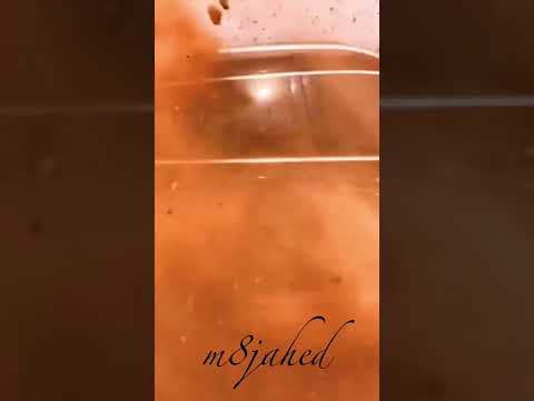 رفقة ايش الكل بايع صقر محمد البصيلي 2022 ترند البصيلي