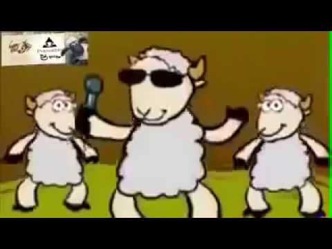 اغنية الخروف ماء ماء اغنية عيد الاضحي المبارك بودي 2024 جديد اغنية الخروف ماء ماء اغنية عيد الاضحي المبارك بودي 2024 جديد