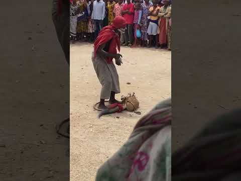 Cheki Jamaa Aliye Fufuka Na Kupaa Kwenye Ndege Ya Kichawi Utashangaaaaaaaaaaaa