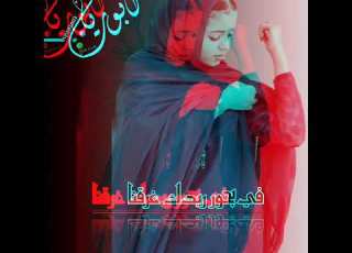 حاااااالة وتساب للمبدع بله اللحوي