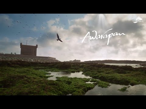 WolfSpirit Awarapan Theme 2022