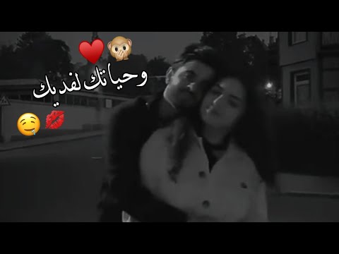 تسالني احبك مااحبك اجمل حالات واتس اب حب وغرام 2023 مقاطع عشق رومانسيه قصيرةاغاني حب حالات واتساب