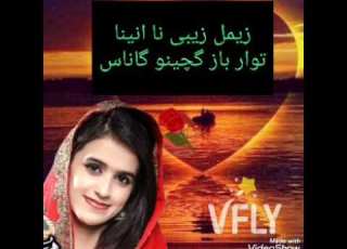  زیمل زیبی نا پوسکونو گاناسzeemal Zaibi New Song