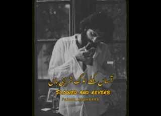 آساں کملے لوگ شرابی ہیں احمد نواز چھینہ سرائیکی سونگ Slowed And Reverb Plzviralvideo MALIK WAQAS